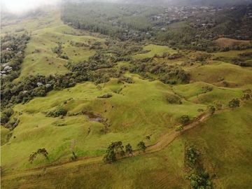 Se Vende Hacienda Vereda Cruces Filandia Quindío