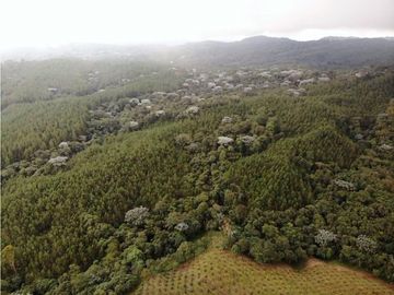 Se Vende Hacienda Vereda Cruces Filandia Quindío