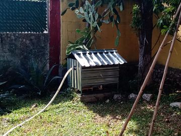 Venta residencia con amplio terreno en Sitpach Norte de  Yucatan