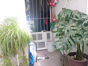 Casa en Villa de Nuestra Señora de La Asunción Sector Encino, Aguascalientes