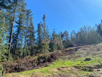 Sitio en Venta en Reserva de tunquen