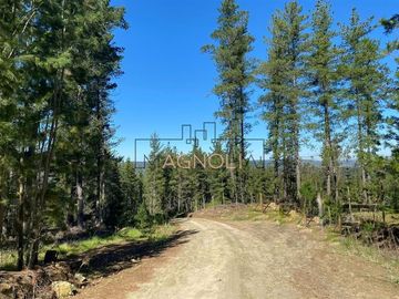 Sitio en Venta en Reserva de tunquen