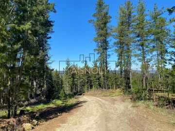 Sitio en Venta en Reserva de tunquen