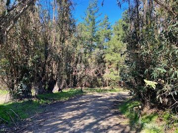Sitio en Venta en Reserva de tunquen
