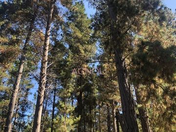 Sitio en Venta en Reserva de tunquen