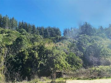 Sitio en Venta en Reserva de tunquen