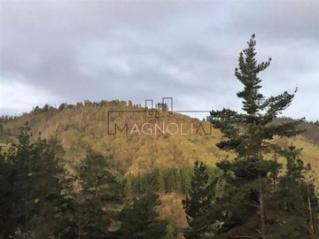 Sitio en Venta en Reserva de tunquen