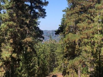 Sitio en Venta en Reserva de tunquen