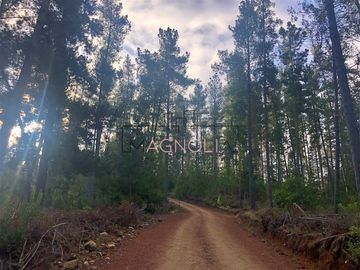 Sitio en Venta en Reserva de tunquen