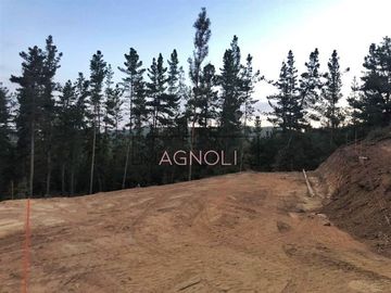 Sitio en Venta en Reserva de tunquen