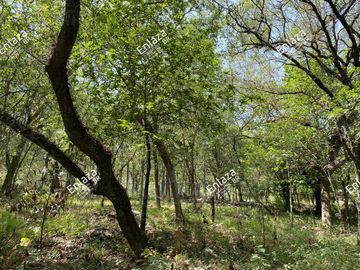 Terreno en Venta Santiago N.L.