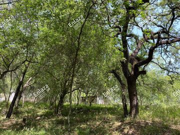 Terreno en Venta Santiago N.L.