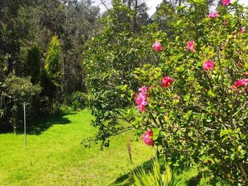 En Venta propiedad Campestre 2482m2 sector La Merced