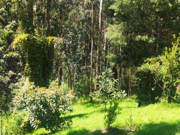 En Venta propiedad Campestre 2482m2 sector La Merced