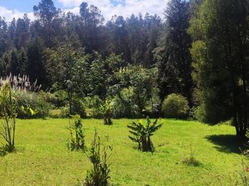 En Venta propiedad Campestre 2482m2 sector La Merced