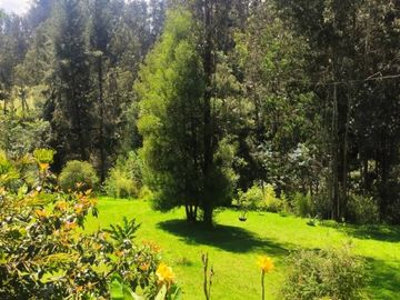 En Venta propiedad Campestre 2482m2 sector La Merced