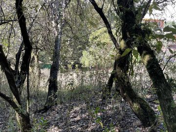 Terreno - Ocoyoacac