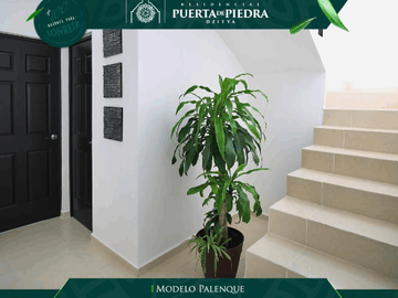 Residencial Puerta de Piedra Dzitya - modelo Palenque
