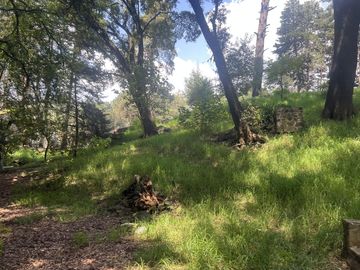 Terreno en  Venta