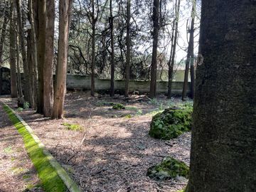 Terreno en  Venta
