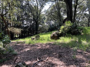 Terreno en  Venta