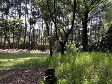 Terreno en  Venta