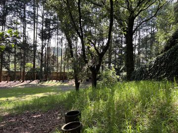 Terreno en  Venta