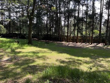Terreno en  Venta