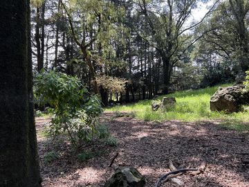 Terreno en  Venta