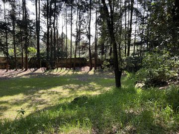 Terreno en  Venta