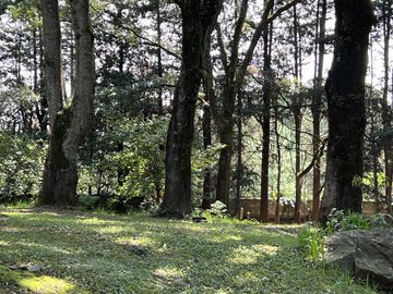 Terreno en  Venta