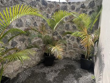 Casa en condominio en Palo Escrito
