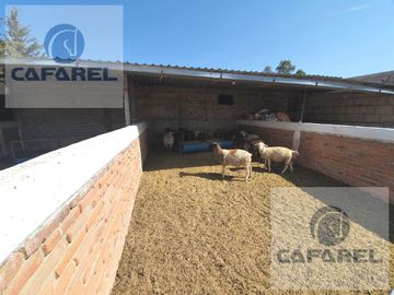oportunidad!!! CASA DE CAMPO/FINCA/RANCHO en VENTA , La Purisima (vg)
