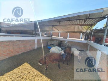 oportunidad!!! CASA DE CAMPO/FINCA/RANCHO en VENTA , La Purisima (vg)