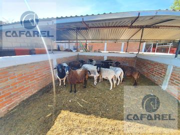 oportunidad!!! CASA DE CAMPO/FINCA/RANCHO en VENTA , La Purisima (vg)