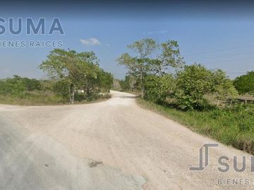 Rancho en Venta en González, Tamaulipas.
