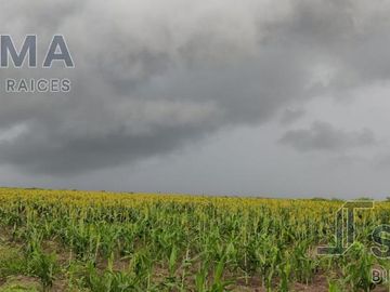 Rancho en Venta en González, Tamaulipas.