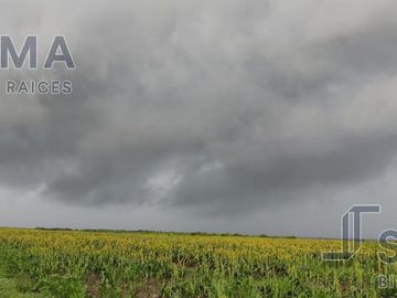Rancho en Venta en González, Tamaulipas.