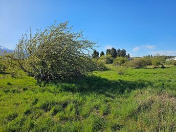 TERRENO EN TREVELIN CHUBUT