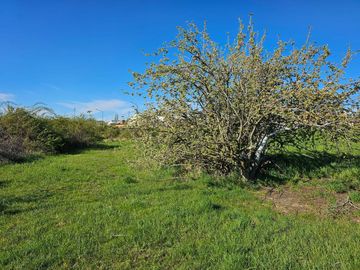 TERRENO EN TREVELIN CHUBUT