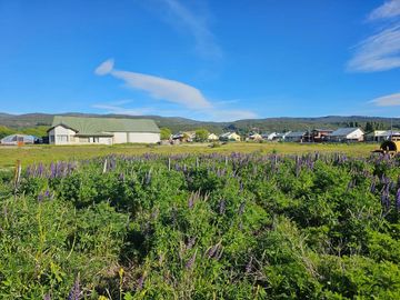 LOTE EN CHOLILA PROVINCIA DEL CHUBUT