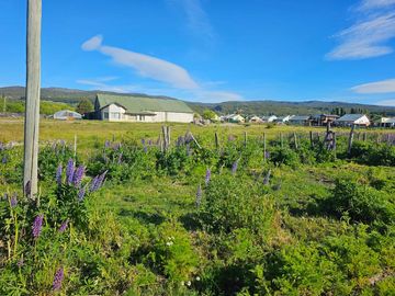 LOTE EN CHOLILA PROVINCIA DEL CHUBUT