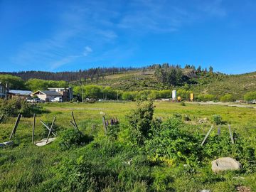 LOTE EN CHOLILA PROVINCIA DEL CHUBUT