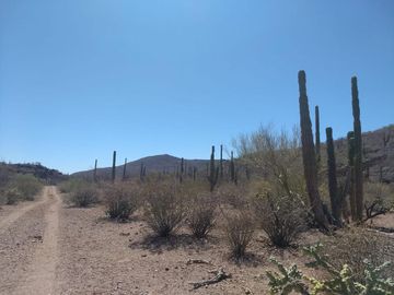 Mulegé, Bahía de la Concepción, Baja California Sur