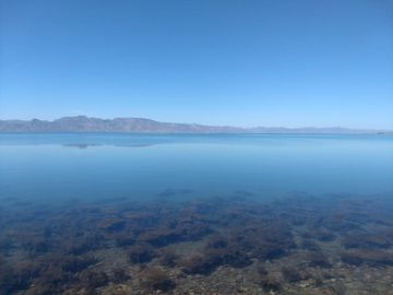 Mulegé, Bahía de la Concepción, Baja California Sur