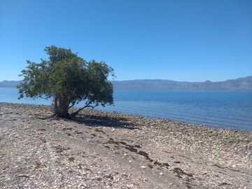 Mulegé, Bahía de la Concepción, Baja California Sur