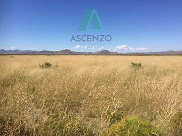 RANCHO AGRÍCOLA EN VENTA POR OJO LAGUNA CARR. CD JUAREZ
