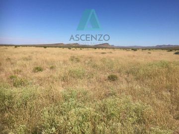 RANCHO AGRÍCOLA EN VENTA POR OJO LAGUNA CARR. CD JUAREZ