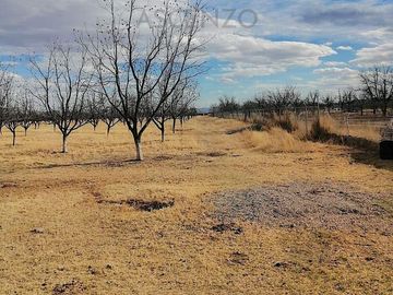 Oportunidad de Nogalera por Salida a Cd. Juarez, Fego