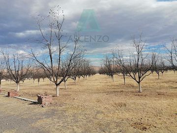 Oportunidad de Nogalera por Salida a Cd. Juarez, Fego